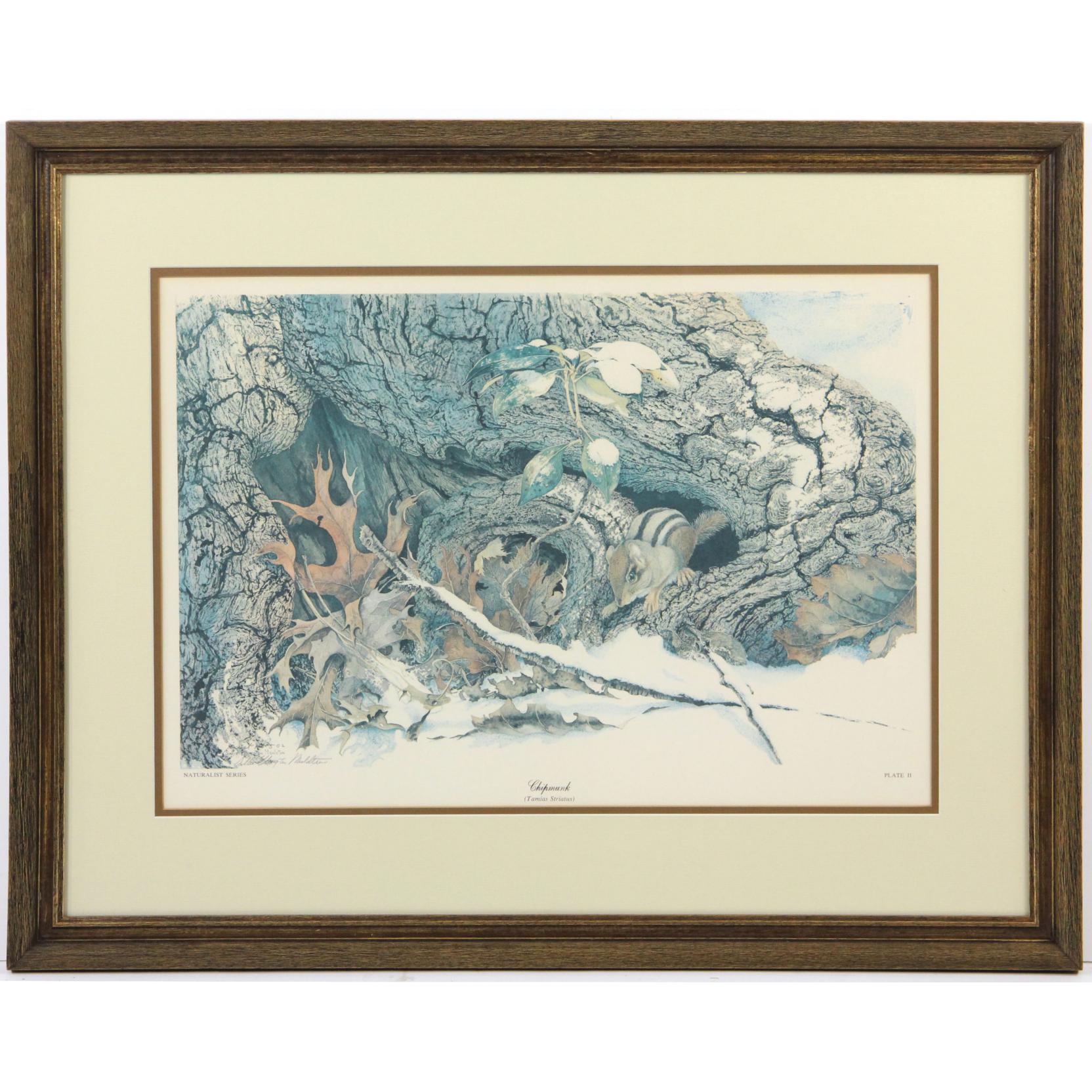 A cheapest framed authenticated limited edition print by artist Sallie Middleton.