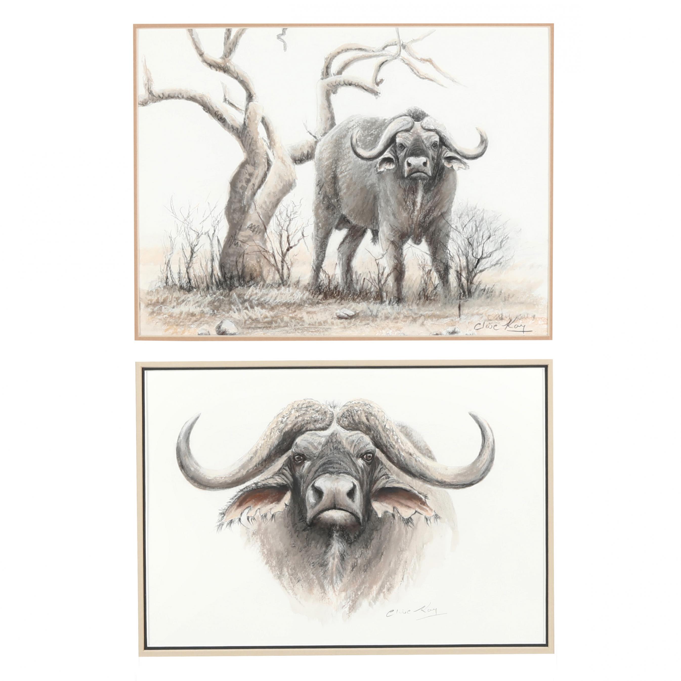 Water Buffalo Coloring Pages - ColoringAll