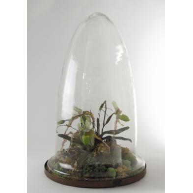 large-brass-and-glass-terrarium