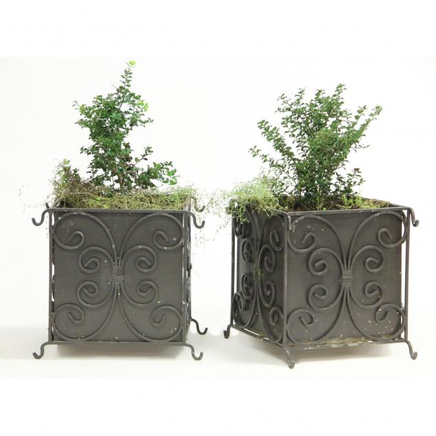 pair-of-wrought-iron-architectural-planters