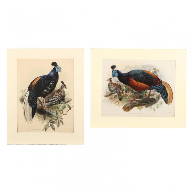 after-joseph-wolf-by-j-smit-19th-century-two-partridge-prints