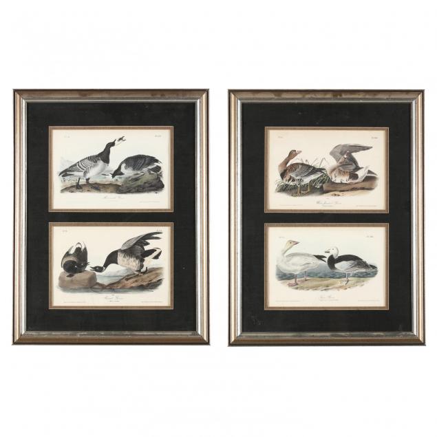 j-t-bowen-after-audubon-19th-century-four-goose-prints-from-i-birds-of-america-i