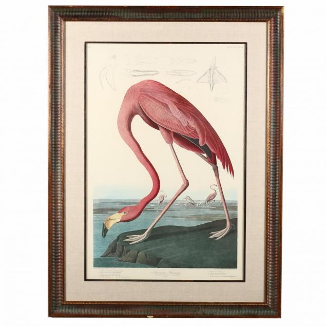 john-james-audubon-american-1785-1851-i-american-flamingo-i