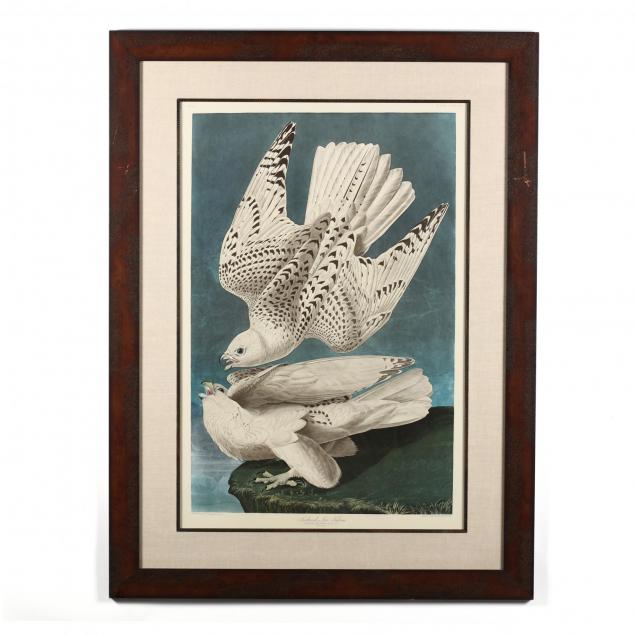 john-james-audubon-american-1785-1851-i-iceland-or-jer-falcon-i