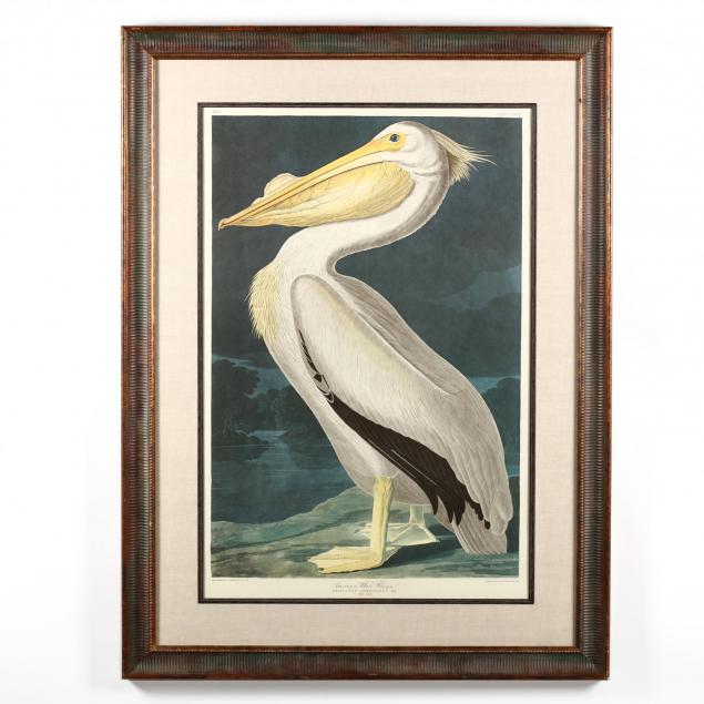 john-james-audubon-american-1785-1851-i-american-white-pelican-i