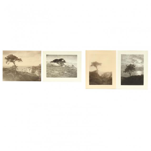 leopold-hugo-american-1863-1933-group-of-4-photographs-picturing-nature