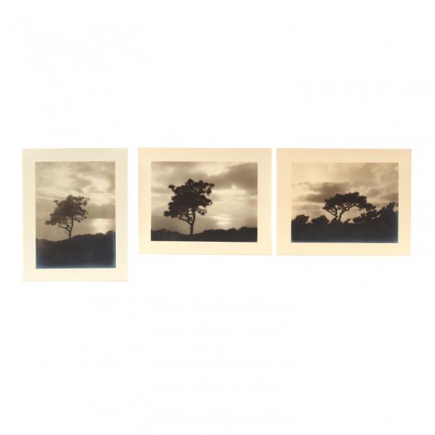 leopold-hugo-american-1863-1933-group-of-3-photographs-picturing-nature