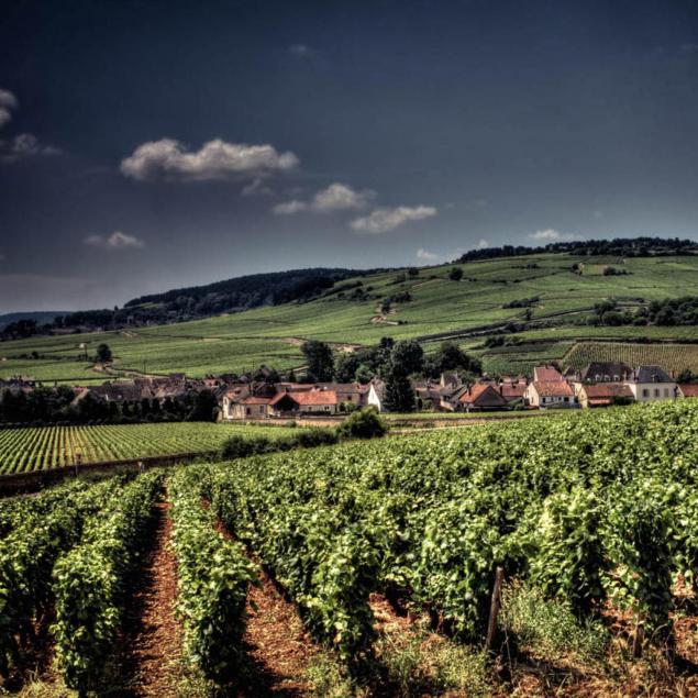 2005-chassagne-montrachet-beaune