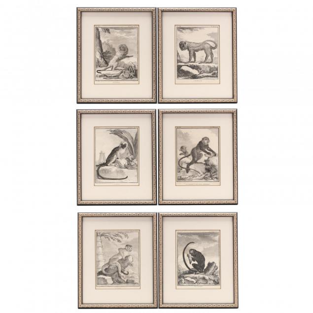 group-of-6-primate-engravings-from-buffon-s-i-histoire-naturelle-i