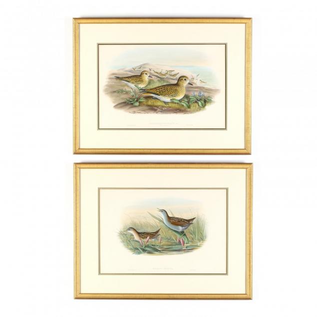 j-gould-h-c-richter-19th-century-two-works-from-i-the-birds-of-great-britain-i