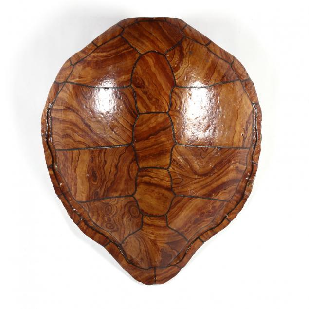 painted-wall-mount-faux-sea-turtle-shell