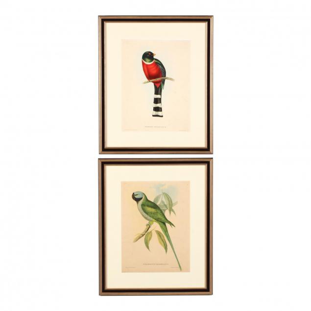 two-framed-contemporary-prints-after-john-gould-s-i-tropical-birds-i