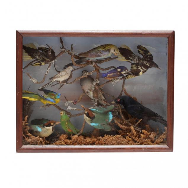 victorian-shadowbox-bird-diorama