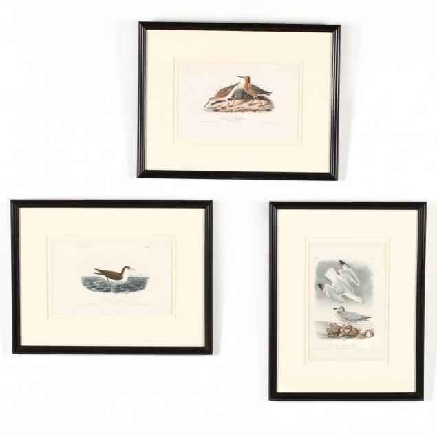 after-john-james-audubon-american-1785-1851-three-framed-prints-from-i-birds-of-america-i