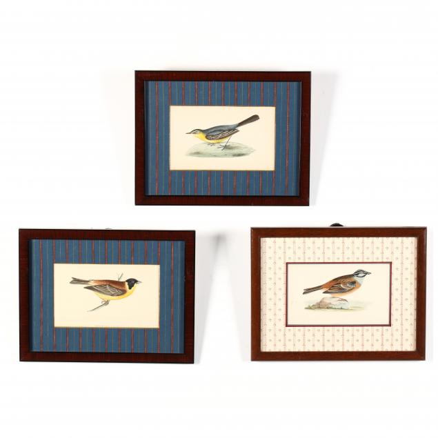 three-antique-ornithological-lithographs