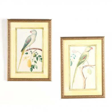 pair-of-framed-parrot-prints