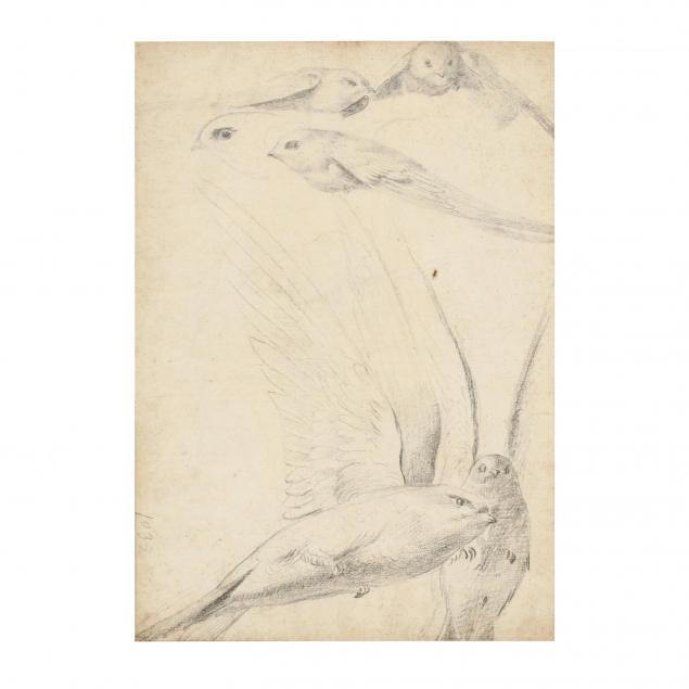 att-nicolas-robert-french-1614-1685-study-of-birds