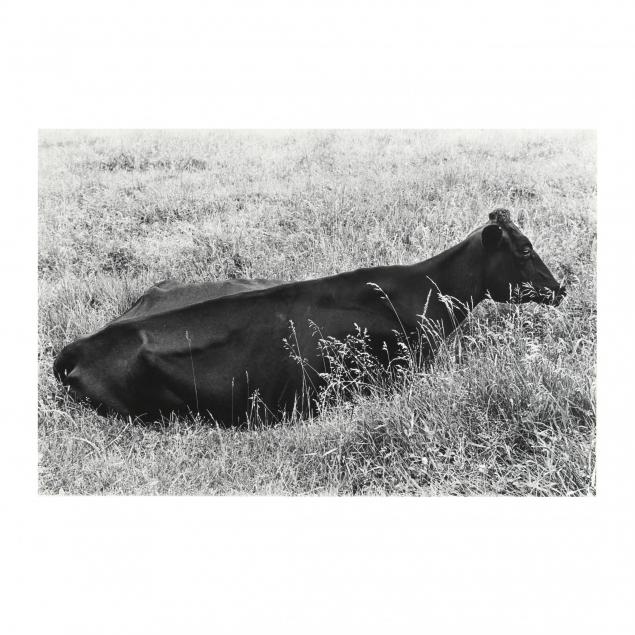 charles-pratt-american-1926-1976-i-vache-cow-i