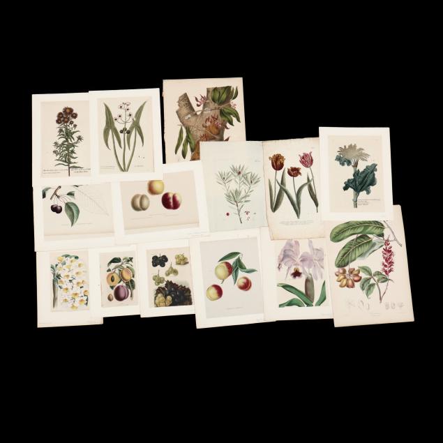 Varied Grouping of Fourteen Botanical Prints (Lot 196 - The April ...