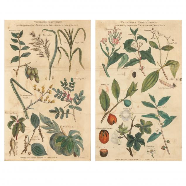 two-antique-vegetable-production-botanical-prints-from-i-payne-s-geography-i