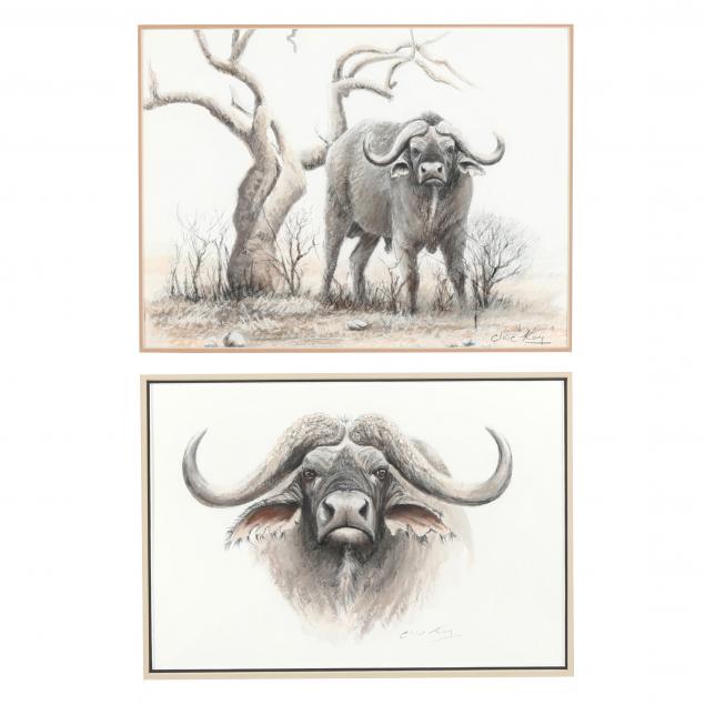 clive-kay-zimbabwean-canadian-born-1944-two-cape-buffalo-drawings
