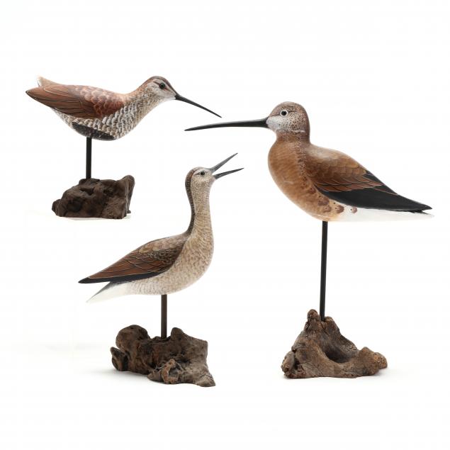 three-painted-shorebirds