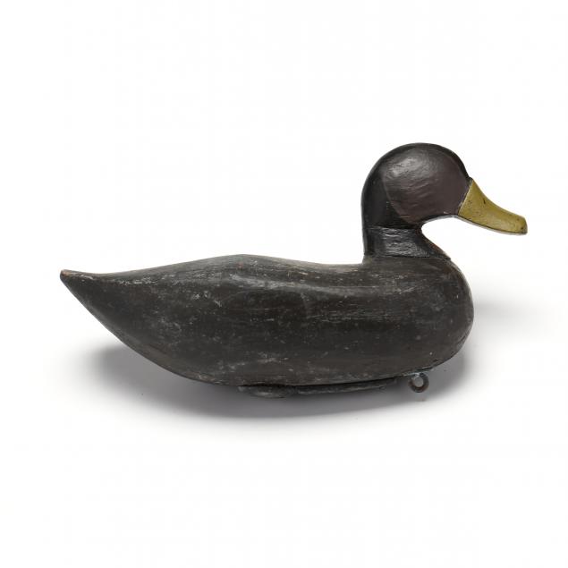 eldon-willis-blackduck