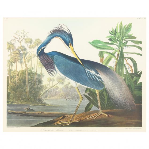 framed-print-after-audubon-s-i-louisiana-heron-i