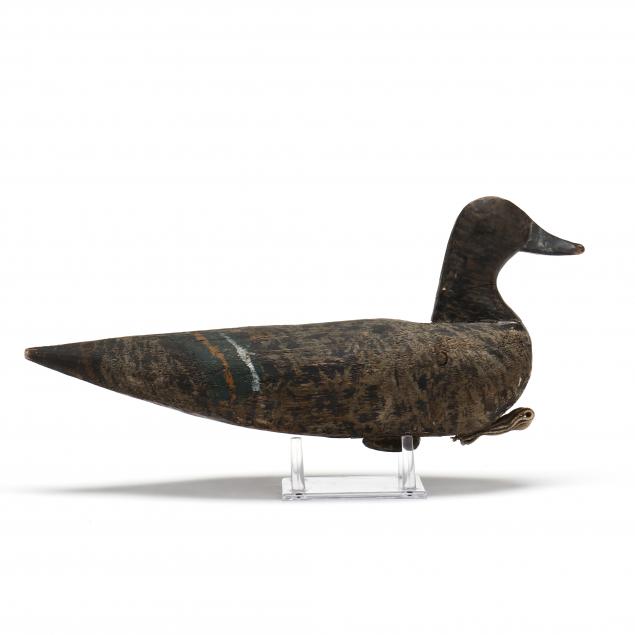 lawrence-howard-nc-1891-1975-hen-pintail