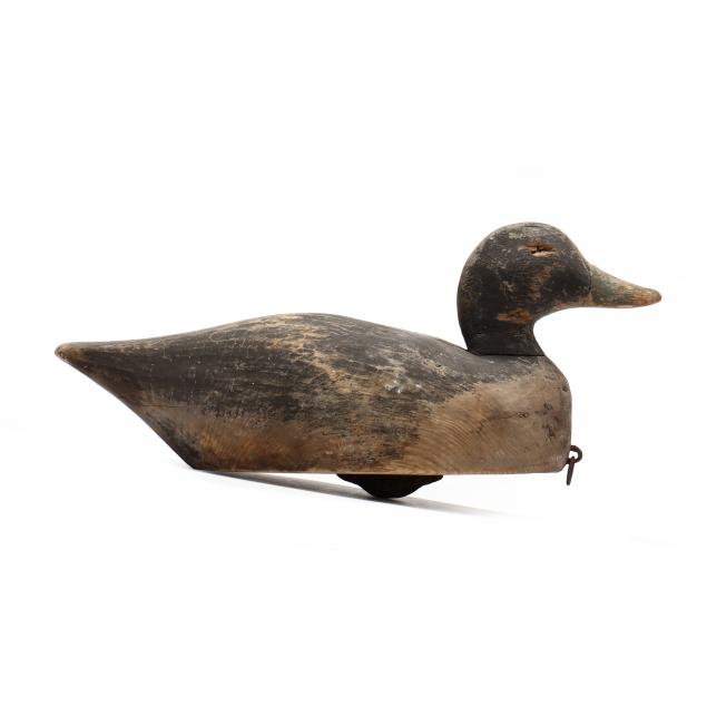 tucker-daniels-nc-1879-1953-published-black-duck