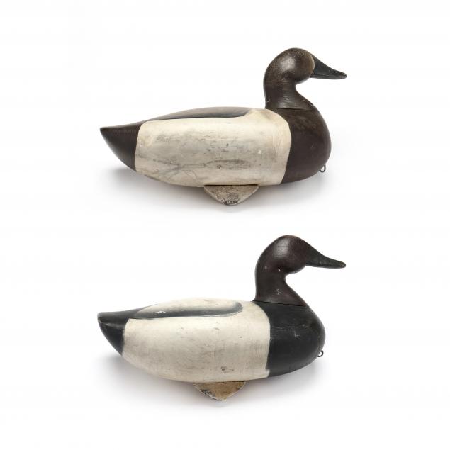 ivey-stevens-va-1876-1947-pair-of-canvasbacks