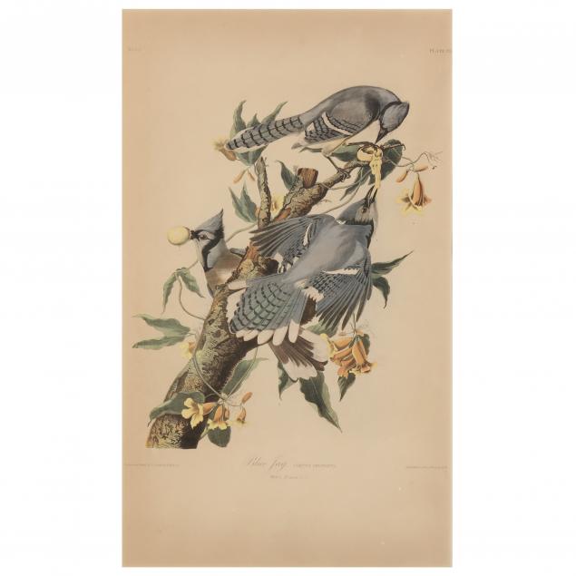 After John James Audubon American 1785 1851 Blue Jay Bien Edition Lot 2338 September