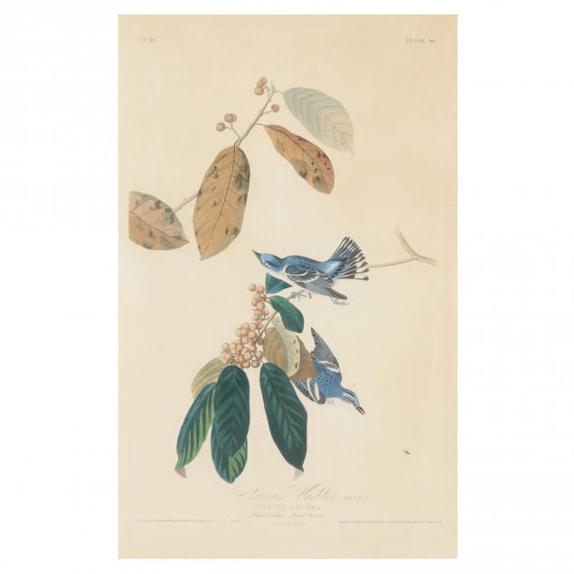 John James Audubon (American, 1785–1851), Cerulean Warbler, Havell ...