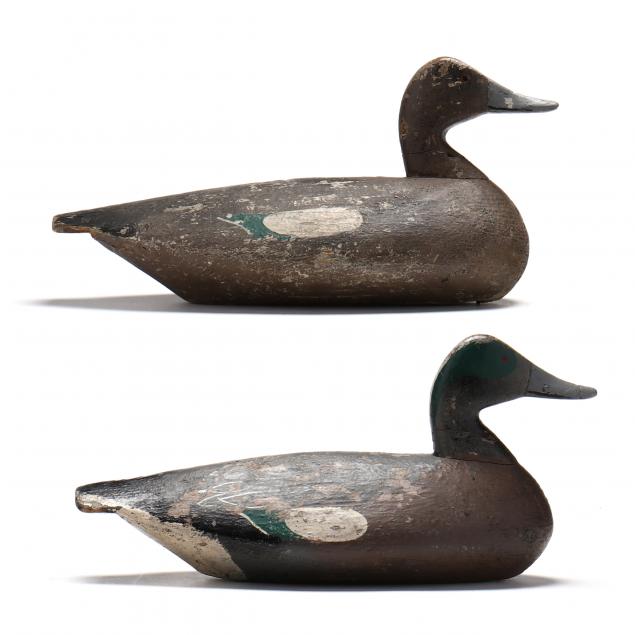 ned-burgess-nc-1868-1958-widgeon-pair