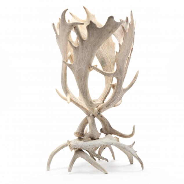 european-fallow-deer-antler-basket