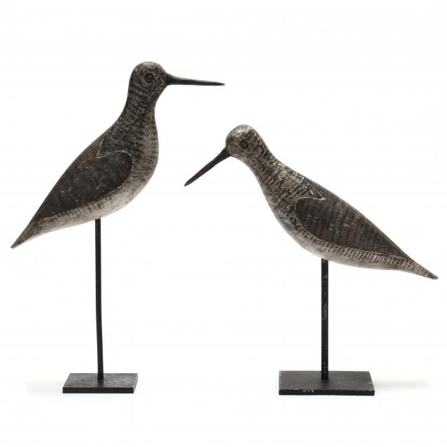 early-seaford-school-yellowlegs-pair