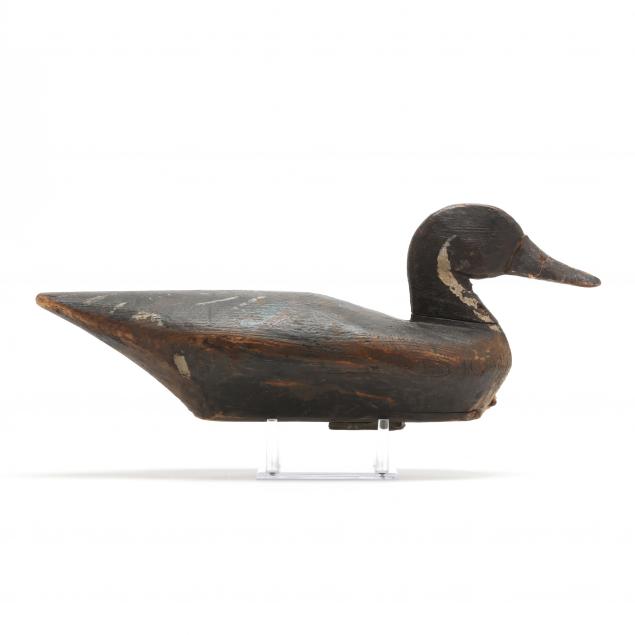 orville-gaus-va-pintail