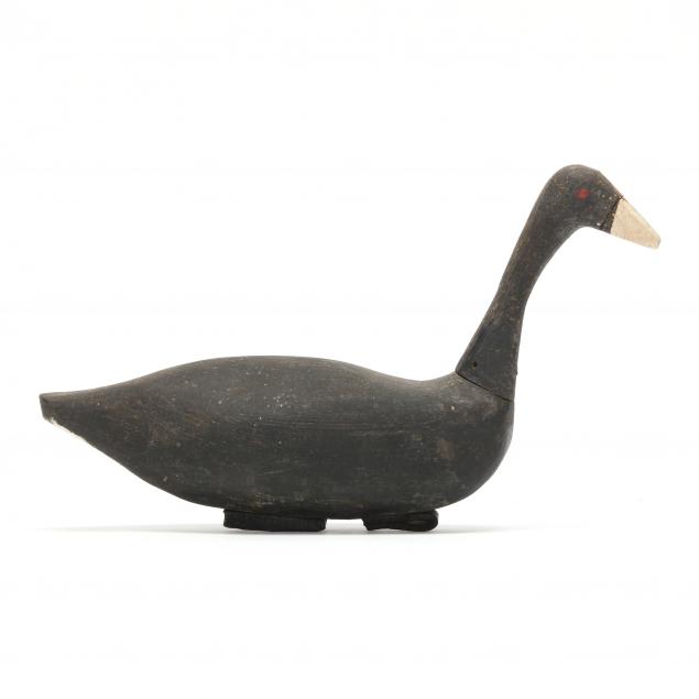 coot-decoy