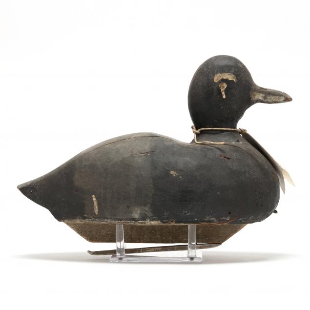 northern-white-winged-scoter-decoy