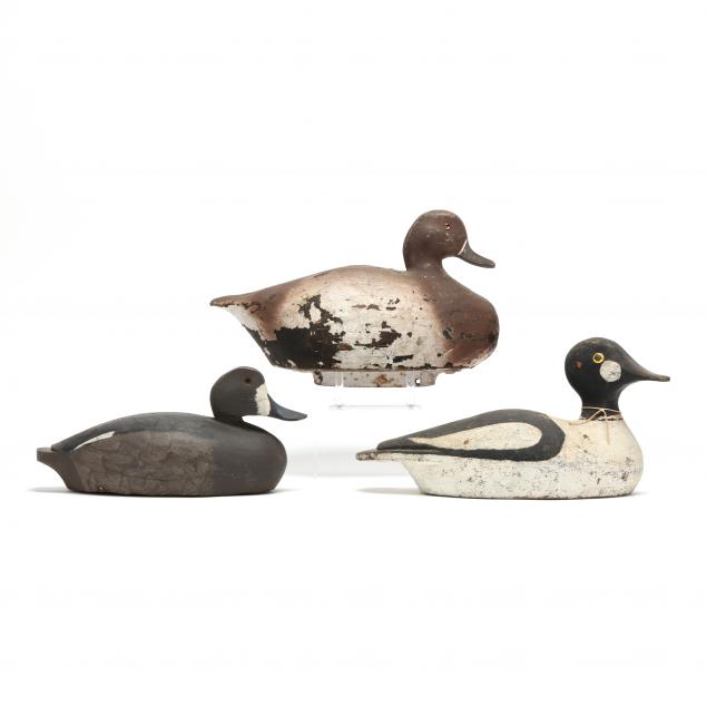 variety-of-three-working-decoys