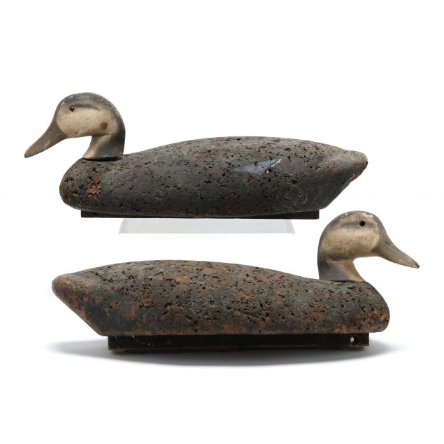 two-large-blue-wing-teal-hen-decoys