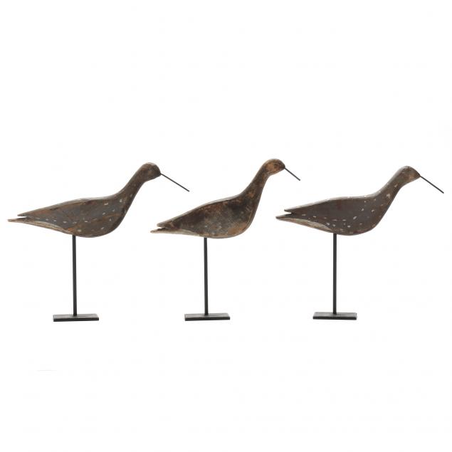 three-yellowlegs-shorebirds-willis-wharf-virginia