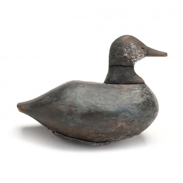 bob-williams-va-1862-1928-published-ruddy-duck