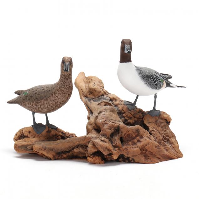 john-and-patty-waterfield-va-northern-pintail-pair