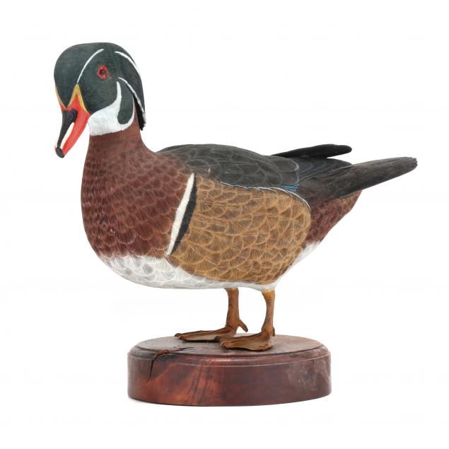 wayne-davis-nc-standing-wood-duck