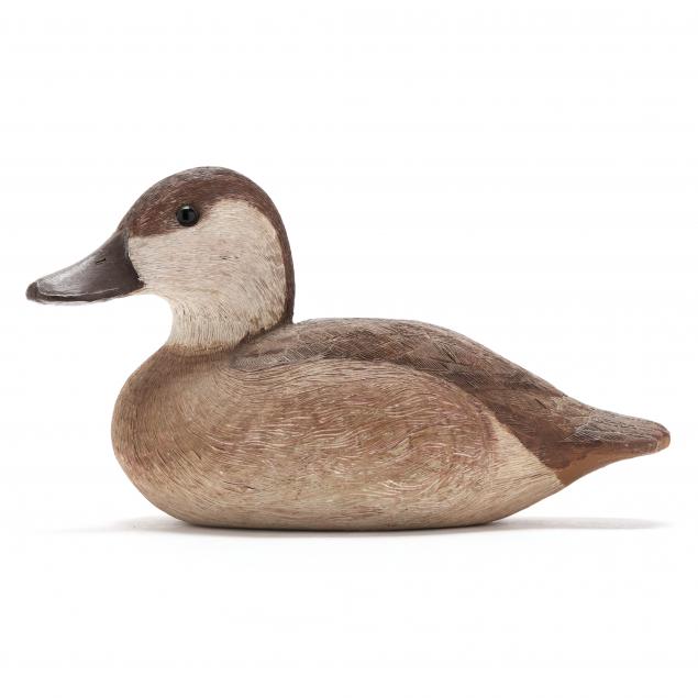 david-lawrence-nc-1949-2001-ruddy-duck
