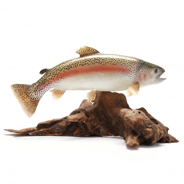 rainbow-trout-mount