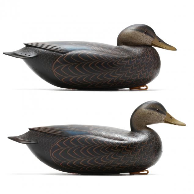 rick-brown-nj-pair-of-black-ducks