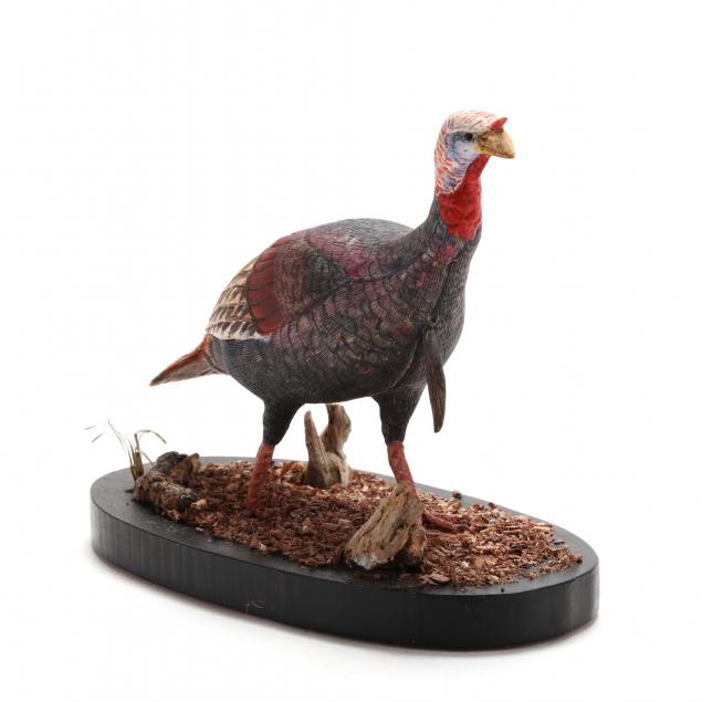 bill-chrisman-va-miniature-wild-turkey