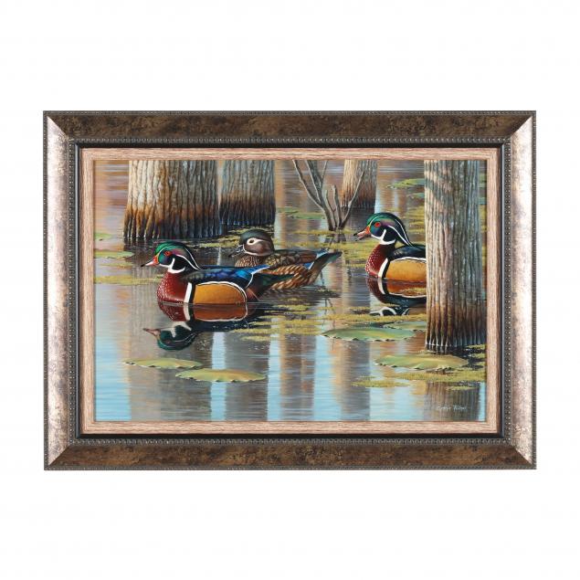 cynthie-fisher-american-swimming-wood-ducks